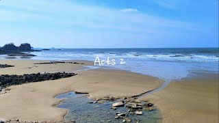 Acts 2 - NIV | AUDIO BIBLE & TEXT