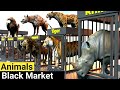 Animals Black Market Price Comparison Video The World Data