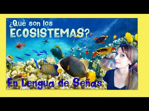 Cómo signar Ecología en LSE