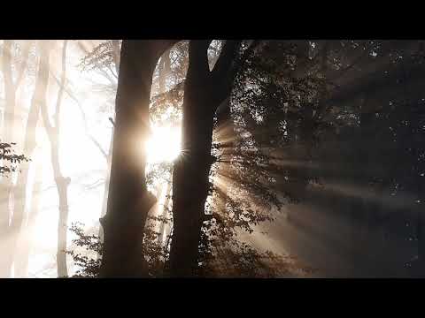 Shamanic Morning Alignment ~ Gaia Invocation, Sacred Sound