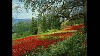 &quot;Old Soul Song (For the New World Order)&quot; -- Bright Eyes