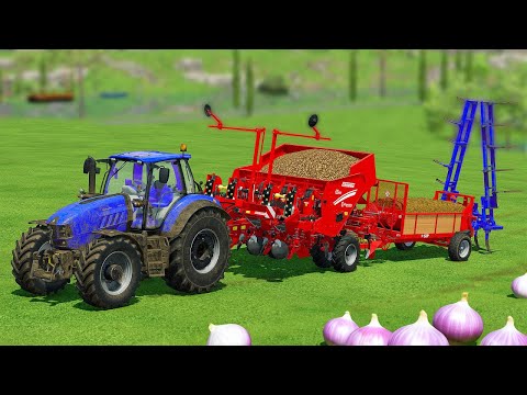PLOW FIELD AND HARVEST ONIONS WITH LAMBORGHINI & STEYR TRACTORS - Farming Simulator 22