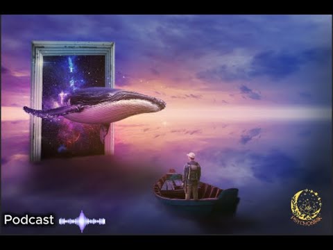 ÉPISODE 2 - Les symboles universels des rêves | Psychonirik