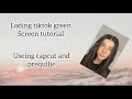 Tiktok loading green screen edit tutorial-charli damelio|| Lxvely Tutorials