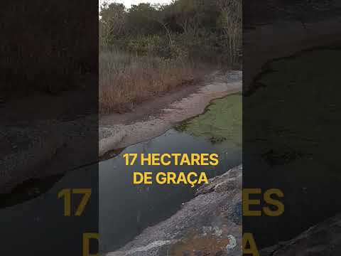 SÍTIO À VENDA NA PARAÍBA POR R$ 360 MIL💰💰💰