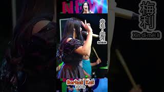 Download lagu Sindy Melly Berkali kali #dangdut #sindymelly #rizazaudio #berkarya mp3