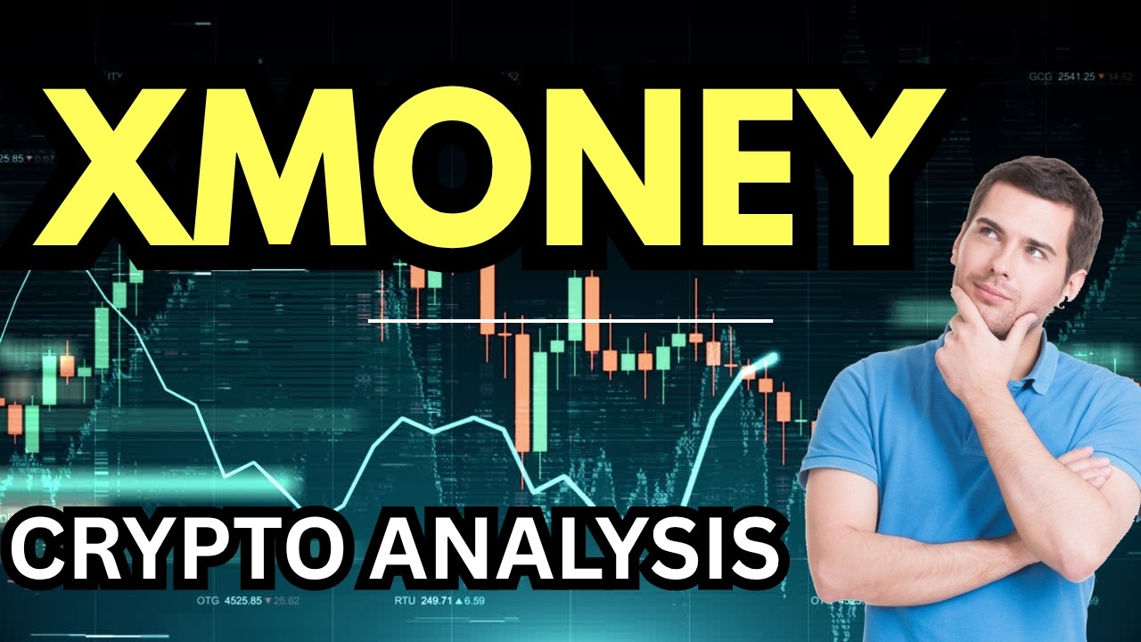 X Money Crypto: Huge MultiversX Integration & 2026 Payment News!