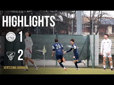 Highlights Novaromentin - Chisola 