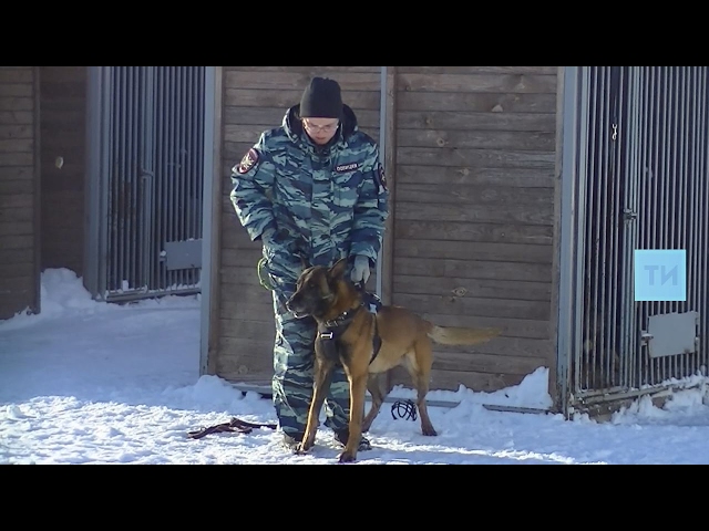 Казанское линейное управление готово к поддержанию порядка на Кубке конфедераций