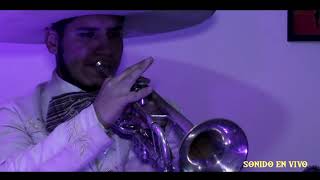 Video de Mariachi Imperial Pasto