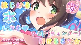 [プリコネR］ワカナ（ウィンター）引けるまで☆