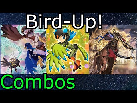 Tri-Brigade Lyrilusc Combos Yu-Gi-Oh! 2022