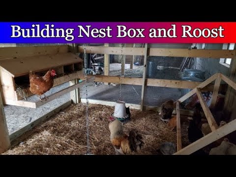 Building a Chicken Coop in the Barn - Part 2 - Building the nest box and chicken roost