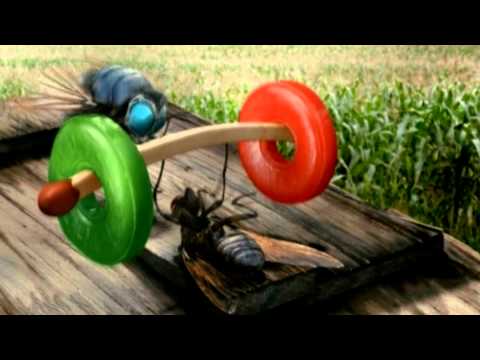 ФлайzZzа / альбом "Глобальне потепління"'2011