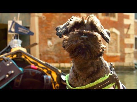 edition a - Die Hunde von Venedig  (Buchtrailer)