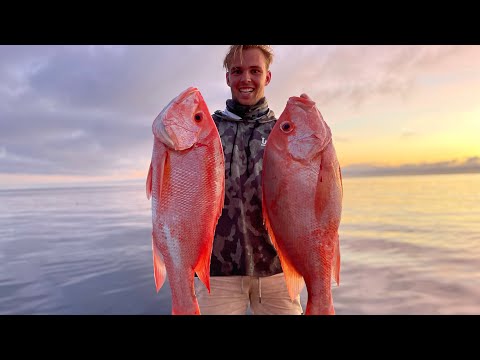 FISHING PARADISE ! NANNYGAI , MARLIN & CORAL TROUT ! (All in my 5m boat!)