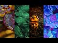 Rain Whatsapp Status Rain Whatsapp Status Video Rain Day