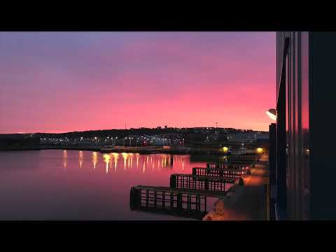 Erell Ranson - Spring Love