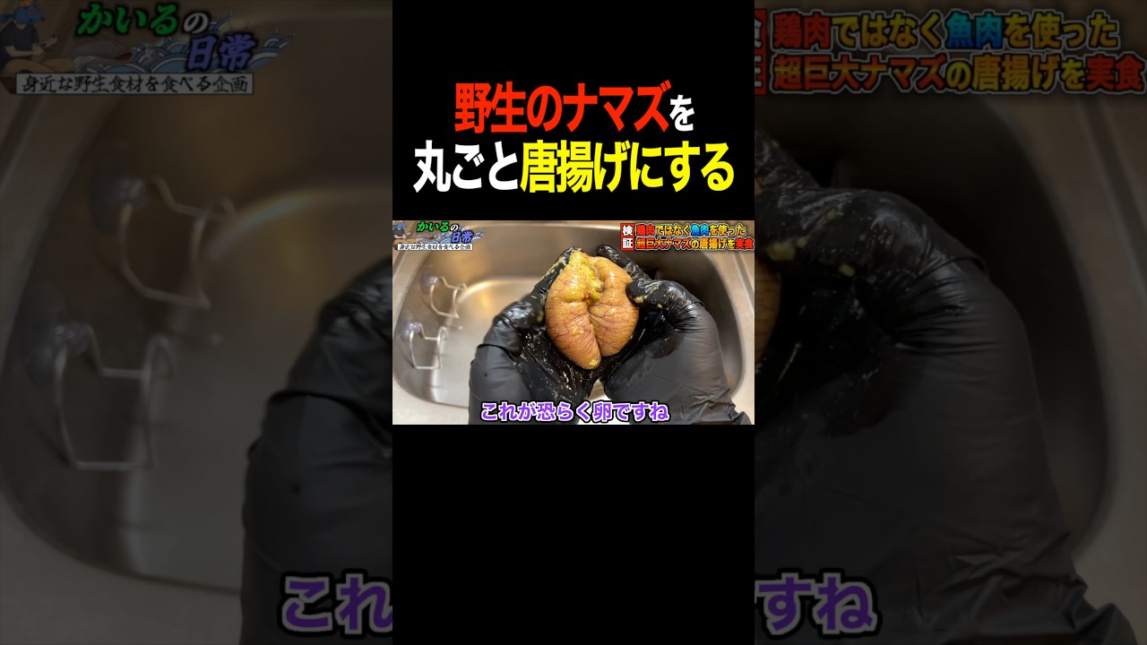 【絶品】ナマズを捕まえて唐揚げにして食べてみた #shorts