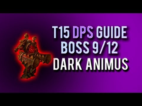 "Dark Animus" DPS Guide → Boss 9/12 in Throne of Thunder
