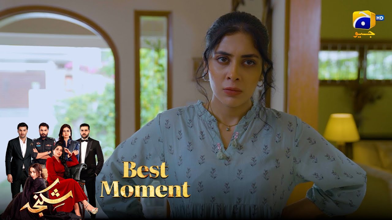 Shikanja Episode 38 | 𝐁𝐞𝐬𝐭 𝐌𝐨𝐦𝐞𝐧𝐭 𝟎𝟐  |  Azekah Daniel - Asad Siddiqui - Furqan Quresh | Har Pal Geo