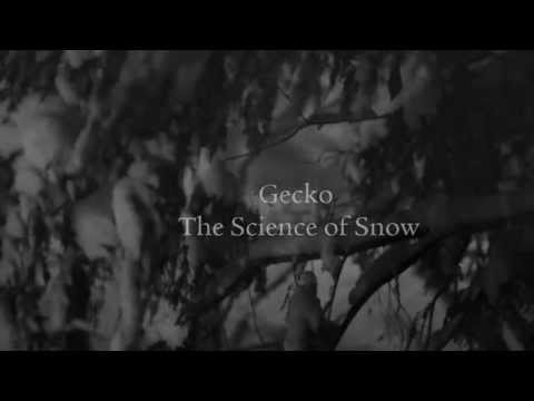 Beresford Hammond - Gecko - The Science of Snow