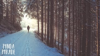 Kaskade - Winter Wonderland