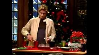Denis Leary 15 second Christmas Special