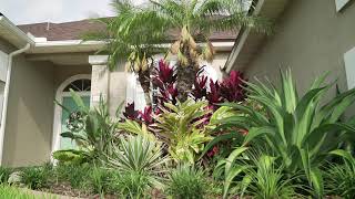 North Florida Tropical Landscape Design installed in Jacksonville Flor