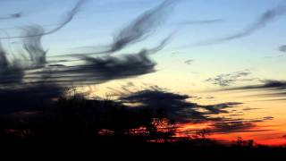 Next Life... For Lettie