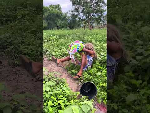 Pegou de novo🤣🤣🤣