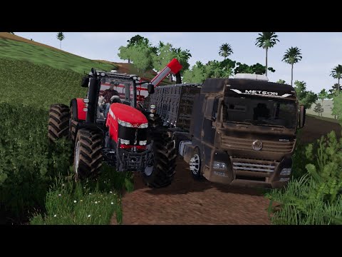 #FS.20 VIDA DE FAZENDEIRO