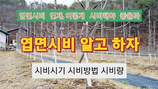 엽면시비 알고 하자(칼슘,마그네슘)/시비시기,시비방법,시비량/