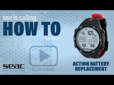 Video Review of the Seac Modular Max BCD