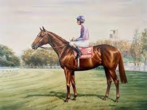 1994 VRC FLEMINGTON Australian Cup