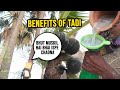 Natural Alcohol !! Juice of toddy palm || Drinking Taddi in Village || Rohit Chandra Vlogs