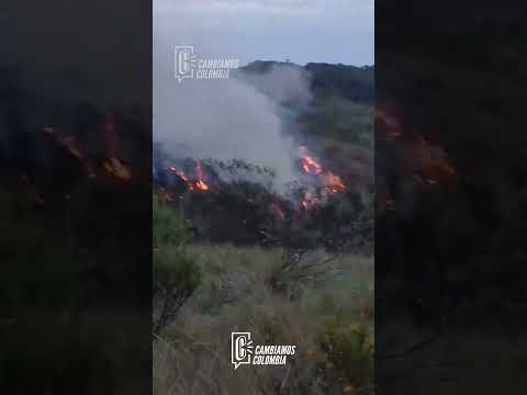 Alerta ambiental: incendios arrasan el páramo de Santa Isabel y amenazan especies únicas.