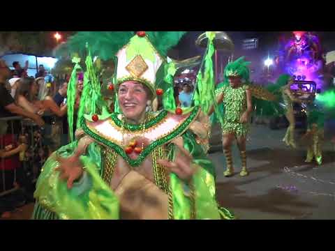 Desfile das Escola de Samba: Bloco do Campinho, Unidos da Cata, Camisa Verde e Branco