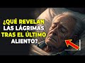 💥 ¿POR QUÉ APARECEN LÁGRIMAS EN UNA PERSONA MUERTA? ¿CUÁL ES EL SIGNIFICADO DE ESTAS LÁGRIMAS? 💥