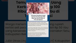 Viral Video Temuan Cacahan Uang Kertas Pecahan Rp 100 Ribu di TPS Liar Bekasi, Dipastikan Asli