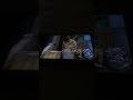 Sesame Street Episode 1992 Ending