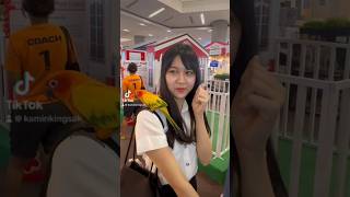 Download lagu 🦜🐶💗 #ขมิ้นกิ่งศักดิ์ #kaminkingsak #สัตว์โลกน่ารัก #สัตว์เลี้ยง #นกแก้ว #หมา mp3