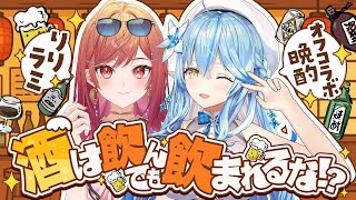 【オフコラボ晩酌】酒は飲んでも飲まれるな!?【 雪花ラミィ/一条莉々華 /ホロライブ】