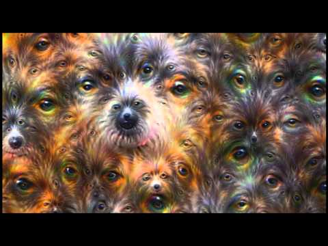 Exploration -The Karminsky Experience Inc