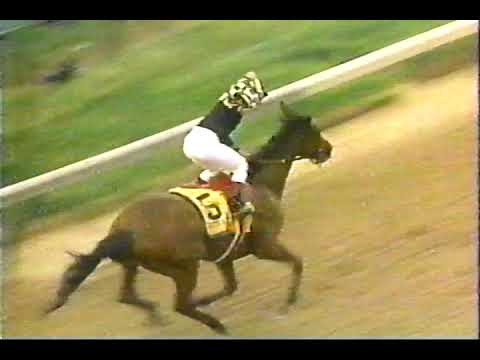 1991 Kentucky Derby undercard - (Thoroughbred Digest)