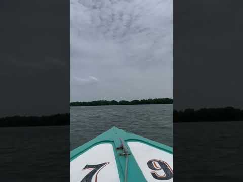 Laguna La Restinga - Isla de Margarita, Nueva Esparta - Venezuela