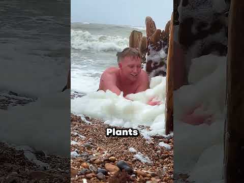 Never Touch This White Foam..