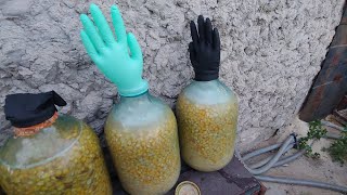 Ссылка