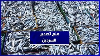منع تصدير السردين المجمد لإعطاء الأولوية للأسواق الوطنية  وتموين رمضان thumbnail