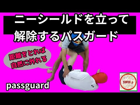 ニーシールドへ立ち上がって距離をとるパスガード　Passguard stands up against the knee shield and moves out of range.